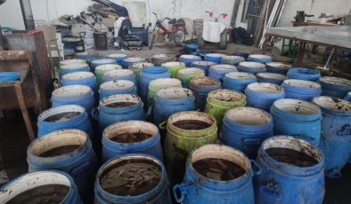 Yasadışı yollarla avlanan deniz patlıcanları denize salındı