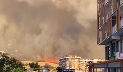 Çanakkale’de orman yangını