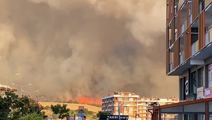 Çanakkale’de orman yangını