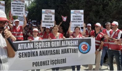 Sendikalı olmak isteyen Polonez Gıda işçisine kolluk müdahalesi