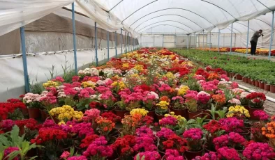 Bayındır 26. Uluslararası Çiçek Festivali 2-4 Mayıs’da yapılacak