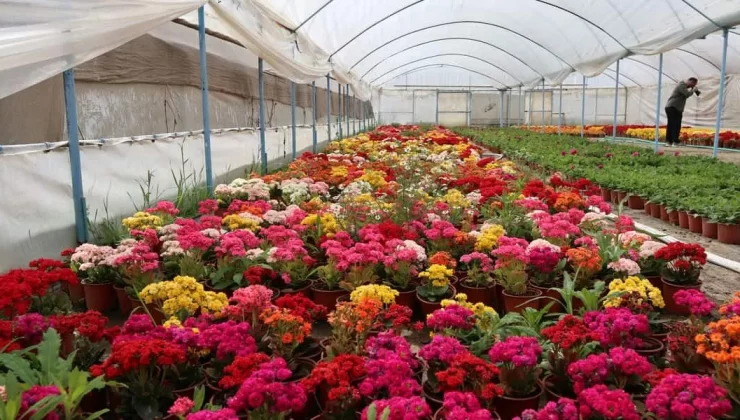Bayındır 26. Uluslararası Çiçek Festivali 2-4 Mayıs’da yapılacak