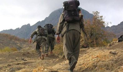 Prof. Dr. Hasan Ünal: ‘PKK kendini değil Türkiye Cumhuriyeti devletini tasfiye etmek istiyor’